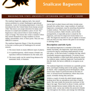 Snailcase Bagworm