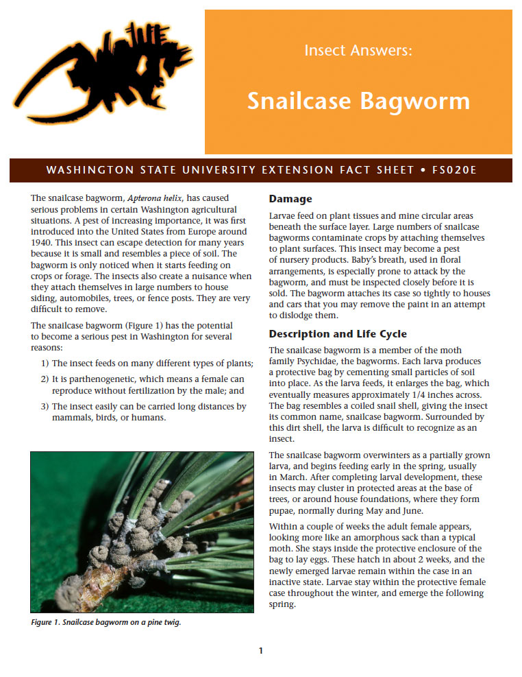 Snailcase Bagworm