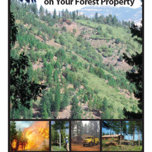 Reducing Fire Risk on Your Forest Property
