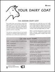 Your Dairy Goat