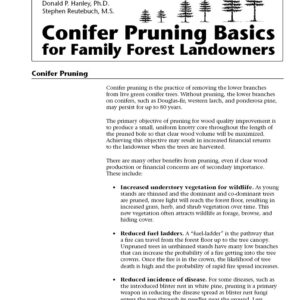 Conifer Pruning Basics for Family Forest Landowners