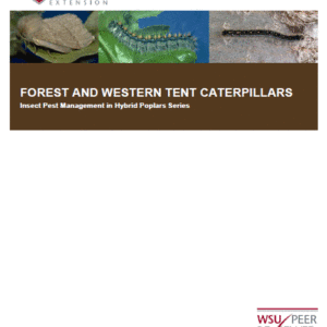 Forest and western tent caterpillars: Insect Pest Management in Hybrid Poplars series
