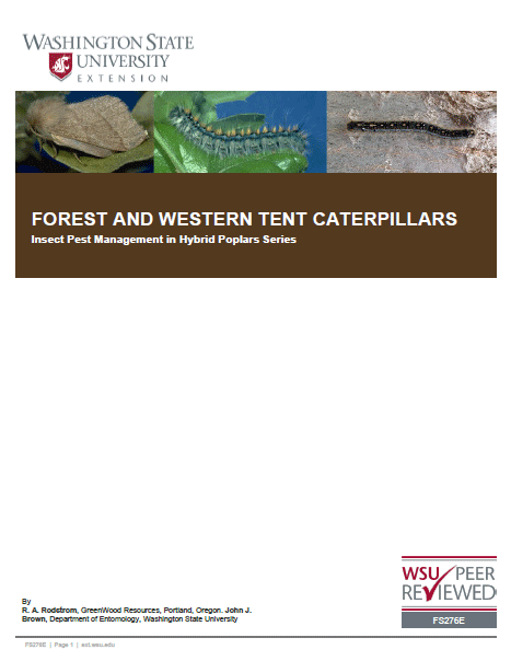 Forest and western tent caterpillars: Insect Pest Management in Hybrid Poplars series