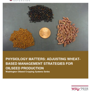 Physiology Matters: Adjusting wheat-based Management Strategies for Oilseed Production (Oilseed Series)