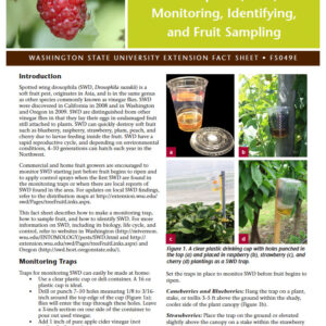 Spotted Wing Drosophila (SWD) Monitoring, Identifying, and Fruit Sampling