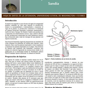 Injertos Hortícolas: Sandía (Vegetable Grafting: Watermelon)