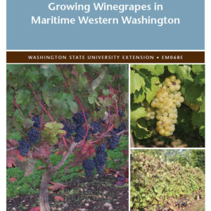 Growing Winegrapes in Maritime Western Washington (Replaces EB2001)