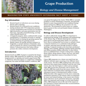 Botrytis Bunch Rot in Commercial Washington Grape Production: Biology and Disease Management