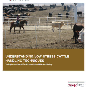 Understanding Low-Stress Cattle Handling Techniques to Improve Animal Performance and Human Safety