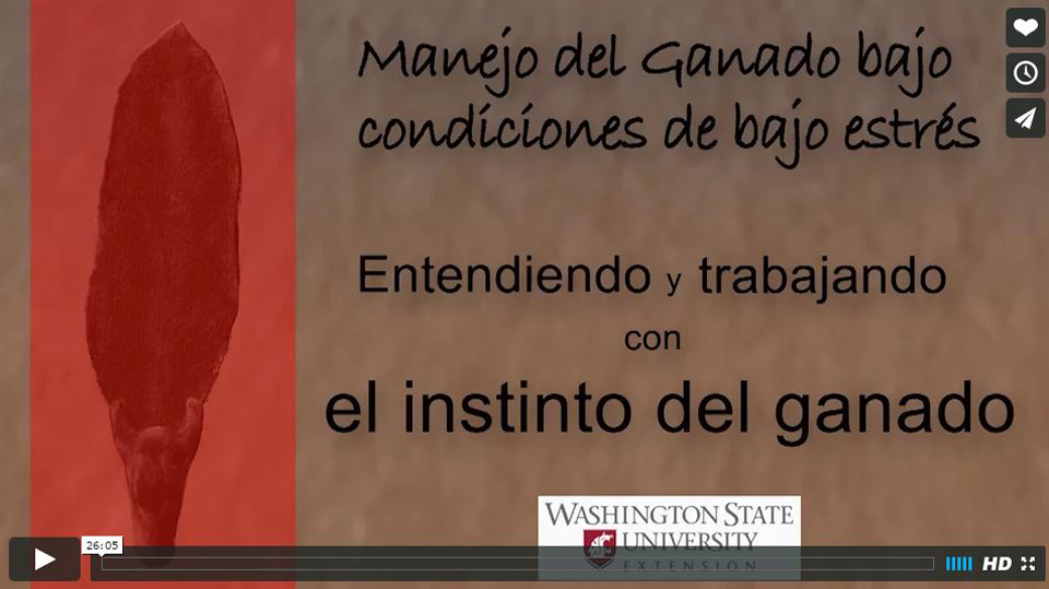 manejo del ganado bovino bajo condiciones de bajo estrés