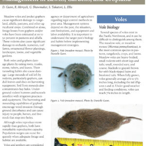Meadow Voles and Pocket Gophers