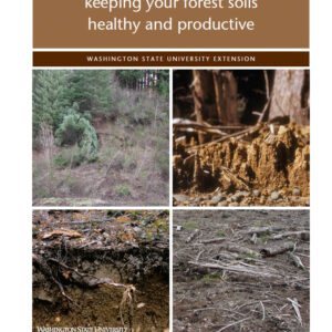 Keeping Your Forest Soils Healthy and Productive