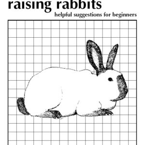 Raising Rabbits: Helpful Suggestions for Beginners