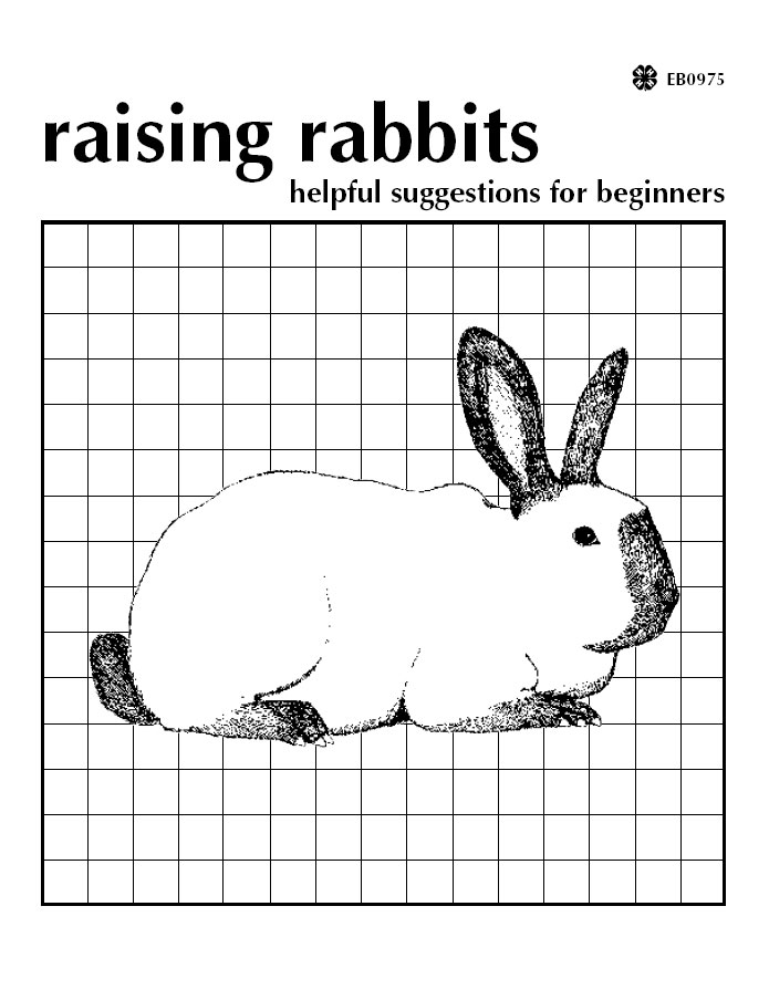 Raising Rabbits: Helpful Suggestions for Beginners