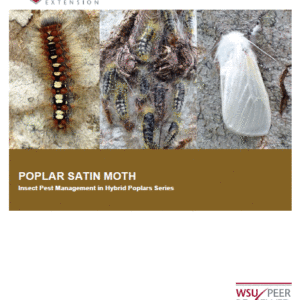 Poplar satin moth: Insect Pest Management in Hybrid Poplars series