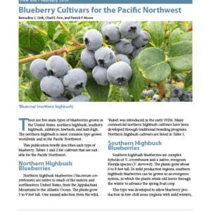 Blueberry Cultivars for the Pacific Northwest