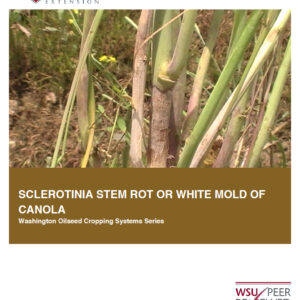 Sclerotinia Stem Rot or White Mold of Canola (Oilseed Series)
