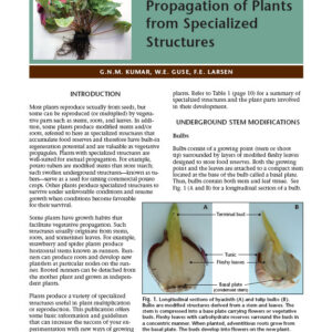 Propagation of Plants from Specialized Structures