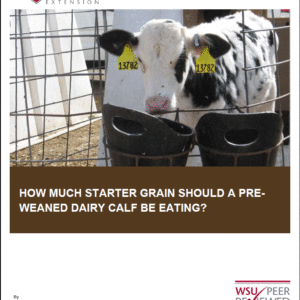 Pre-weaned Calves: How Much Starter Grain Should a Dairy Calf be Eating?