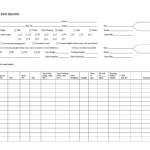 Individual Ewe Record