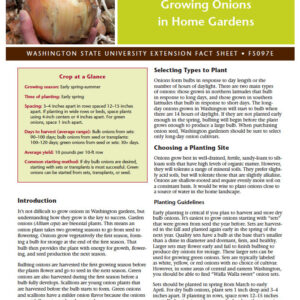 Growing Onions in Home Gardens (Home Garden Series)