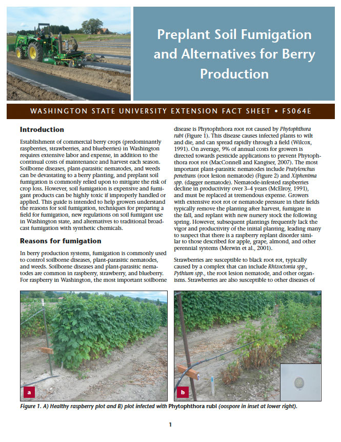 Preplant Soil Fumigation and Alternatives for Berry Production