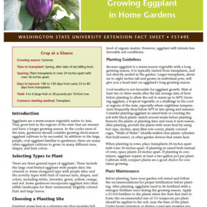 Growing Eggplant in Home Gardens (Home Garden Series)