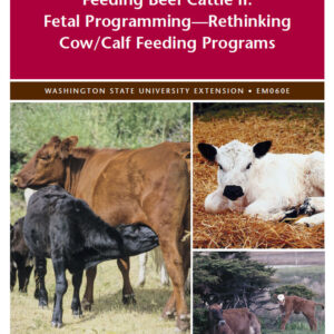 Feeding Beef Cattle II: Fetal Programming--Rethinking Cow/Calf Feeding Programs