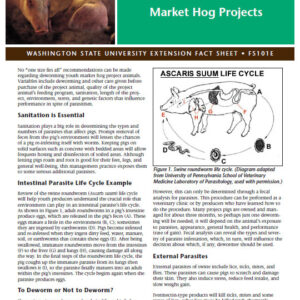 Parasite Control in Youth Market Hog Projects