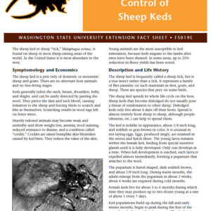 Control of Sheep Keds