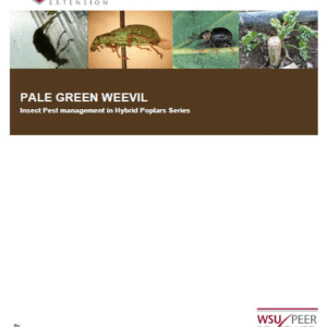 Pale Green Weevil: Insect Pest Management in Hybrid Poplars series