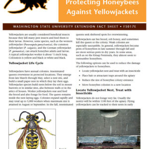 Protecting Honeybees Against Yellowjackets