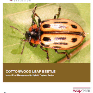Cottonwood leaf beetle: Insect Pest Management in Hybrid Poplars series