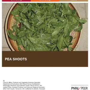 Pea Shoots