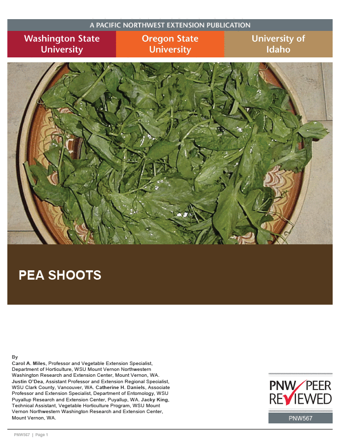 Pea Shoots