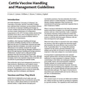 Cattle Vaccine Handling and Management Guidelines
