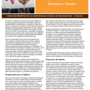 Injerto de Verduras Berenjenas y Tomates (Vegetable Grafting: Eggplants and Tomatoes)