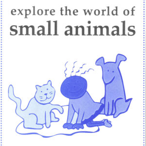 Explore the World of Small Animals
