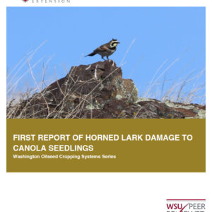 First Report of Horned Lark Damage to Canola Seedlings (Oilseed Series)