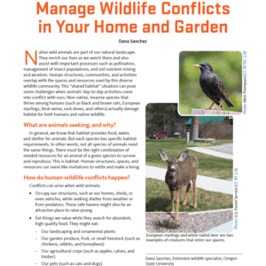 Manage Wildlife Conflicts in Your Home and Garden