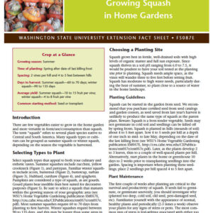 Growing Squash in Home Gardens (Home Garden Series)