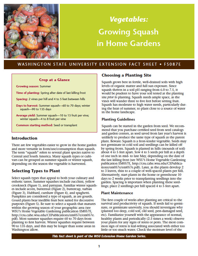 Growing Squash in Home Gardens (Home Garden Series)