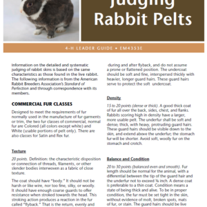 Judging Rabbit Pelts