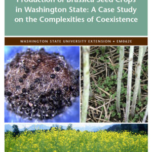 Production of Brassica Seed Crops in Washington State: A Case Study on the Complexities of Coexistence