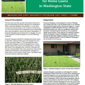 Kentucky Bluegrass for Use in Home Lawns in Washington (Home Garden Series)