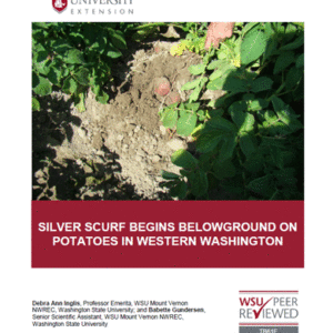 Silver Scurf Begins Belowground on Potatoes in Western Washington