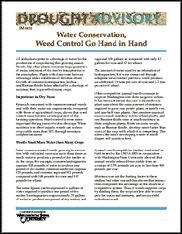 Drought Advisory: Water Conservation, Weed Control Go Hand in Hand