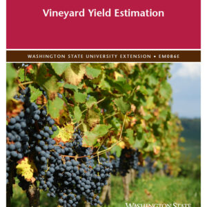 Vineyard Yield Estimation
