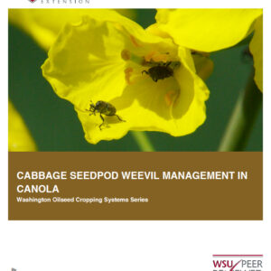 Cabbage Seedpod Weevil Management in Canola (Oilseed Series)