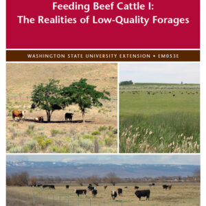 Feeding Beef Cattle I: The Realities of Low-Quality Forages